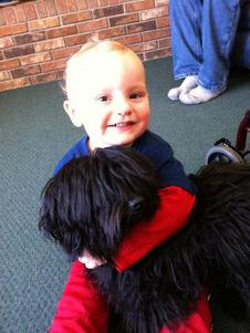 Havanese with baby